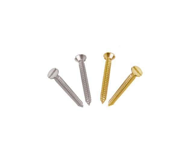 SS  Screw Slotted Head